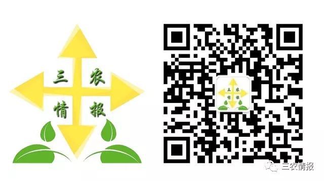 如火狐电竞何在园林工程中营造挡土墙景观？(图13)
