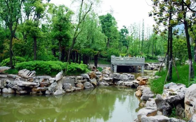 如火狐电竞何在园林工程中营造挡土墙景观？(图3)