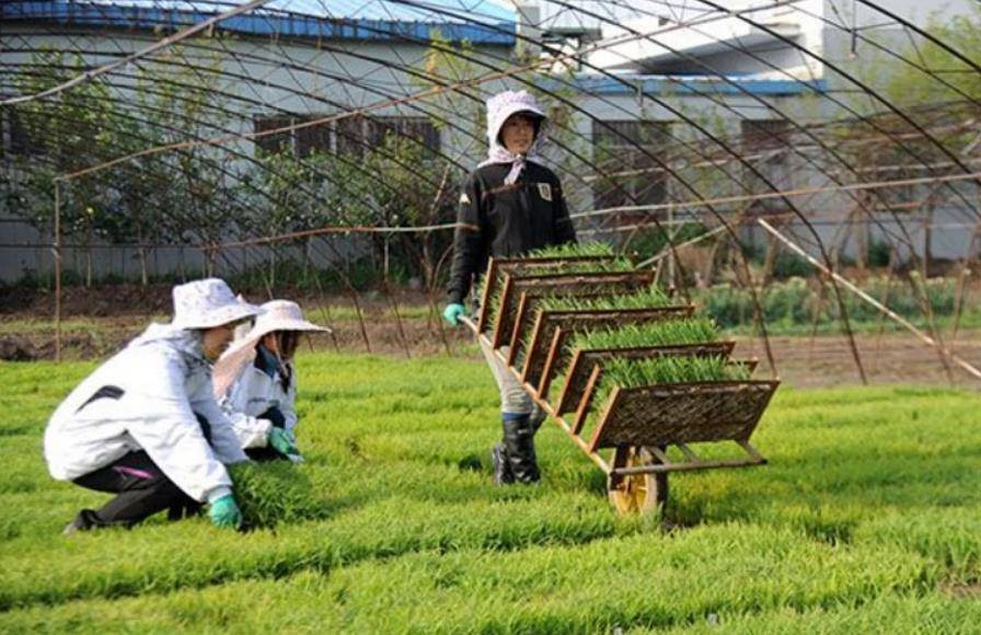 农学院火狐电竞实验室污水处理设备工艺和污水处理技术(图2)
