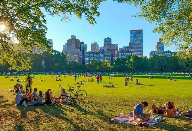 火狐电竞城市中的风景区：把家变成美丽的大公园(图10)