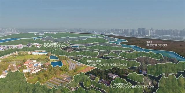 火狐电竞城市中的风景区：把家变成美丽的大公园(图14)