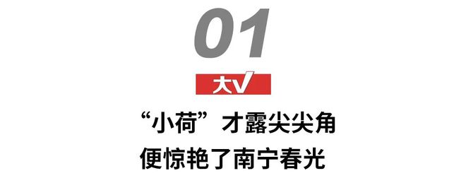 凭对几个经典符号的演绎TA在南宁创造新的经典火狐电竞(图1)
