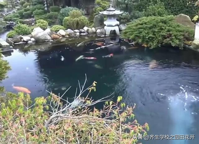园林景火狐电竞观设计 营造之法 打造文人山水园有啥难点？(图5)