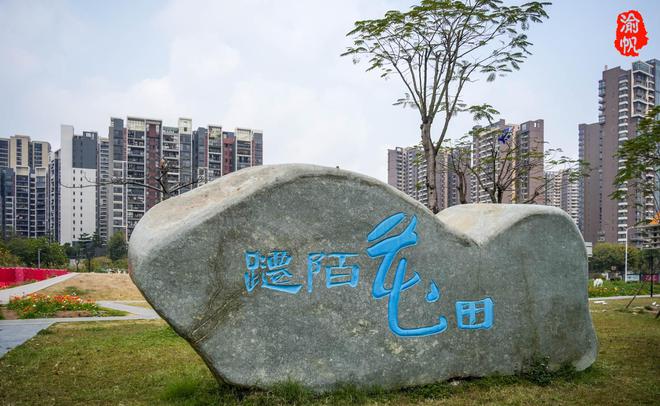 火狐电竞广东首富捐资3亿在最牛小镇建起一座园林如今免费对游客开放(图3)