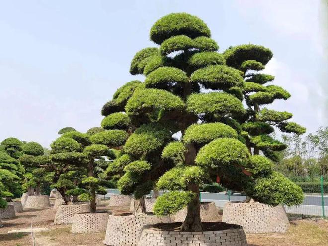 这些行业未来趋势与每个人火狐电竞息息相关！(图10)