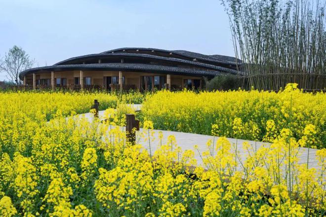 这些行业未来趋势与每个人火狐电竞息息相关！(图13)