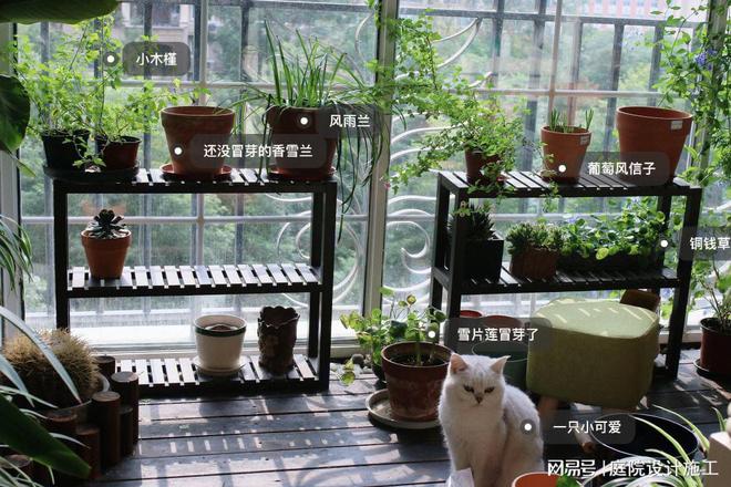阳台也能打造个性化火狐电竞花园这5个技巧让花园更有个性和魅力(图4)