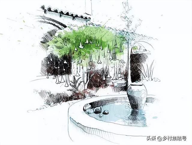 拥有28年经验国外景观设计师总结火狐电竞八条花园设计原则你怎么看？(图10)
