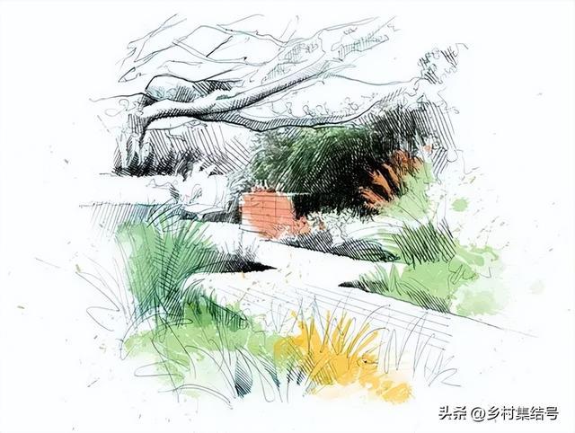 拥有28年经验国外景观设计师总结火狐电竞八条花园设计原则你怎么看？(图9)