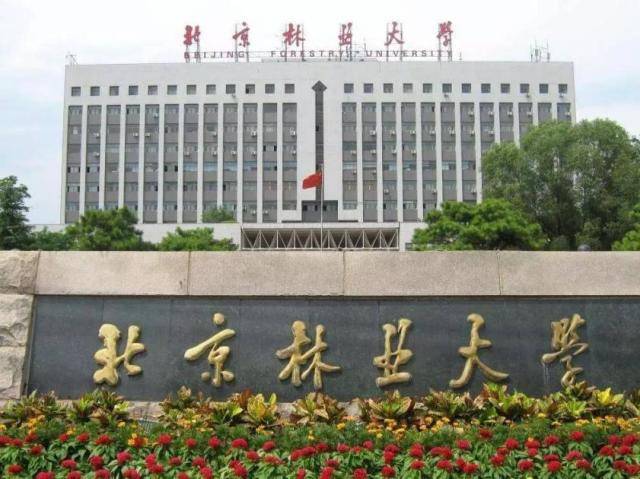 北火狐电竞京林业大学王牌专业花落谁家？风景园林专业申请出列(图3)