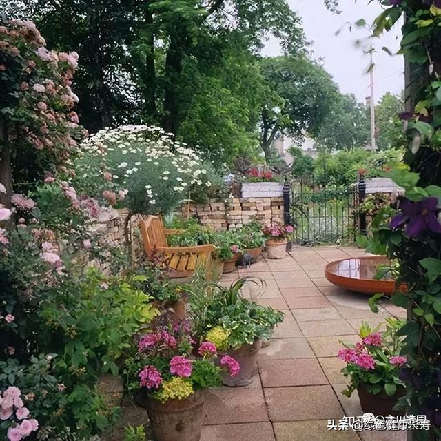 16个技巧帮你规划自己的小花火狐电竞园(图11)