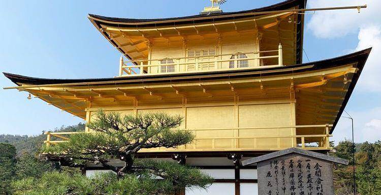火狐电竞从金阁、银阁的园林设计中深入分析日式庭院的阴翳美学(图4)