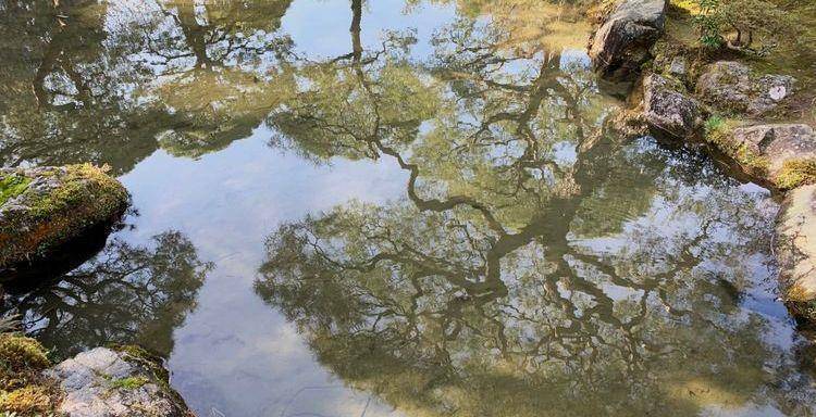 火狐电竞从金阁、银阁的园林设计中深入分析日式庭院的阴翳美学(图5)