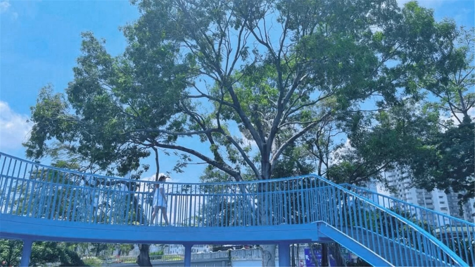 深火狐电竞圳笋岗5G智慧口袋公园景观设计 文科园林(图5)