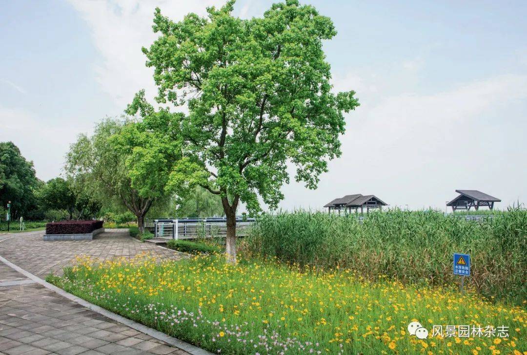 火狐电竞《风景园林》2022-S1新刊速览 苏州园林设计院有限公司建院 40 周年(图22)