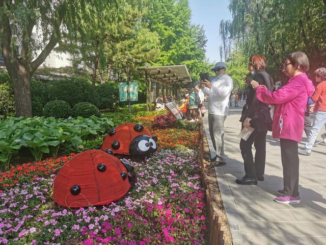 玉渊潭公园花境设计师：步入式花境全新亮相游客可亲近植物自然火狐电竞(图2)