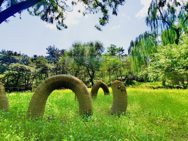 玉渊潭公园花境设计师：步入式花境全新亮相游客可亲近植物自然火狐电竞(图4)