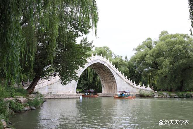 中国园林的魅力与价值：园林绿化工程师的火狐电竞职业视角(图2)
