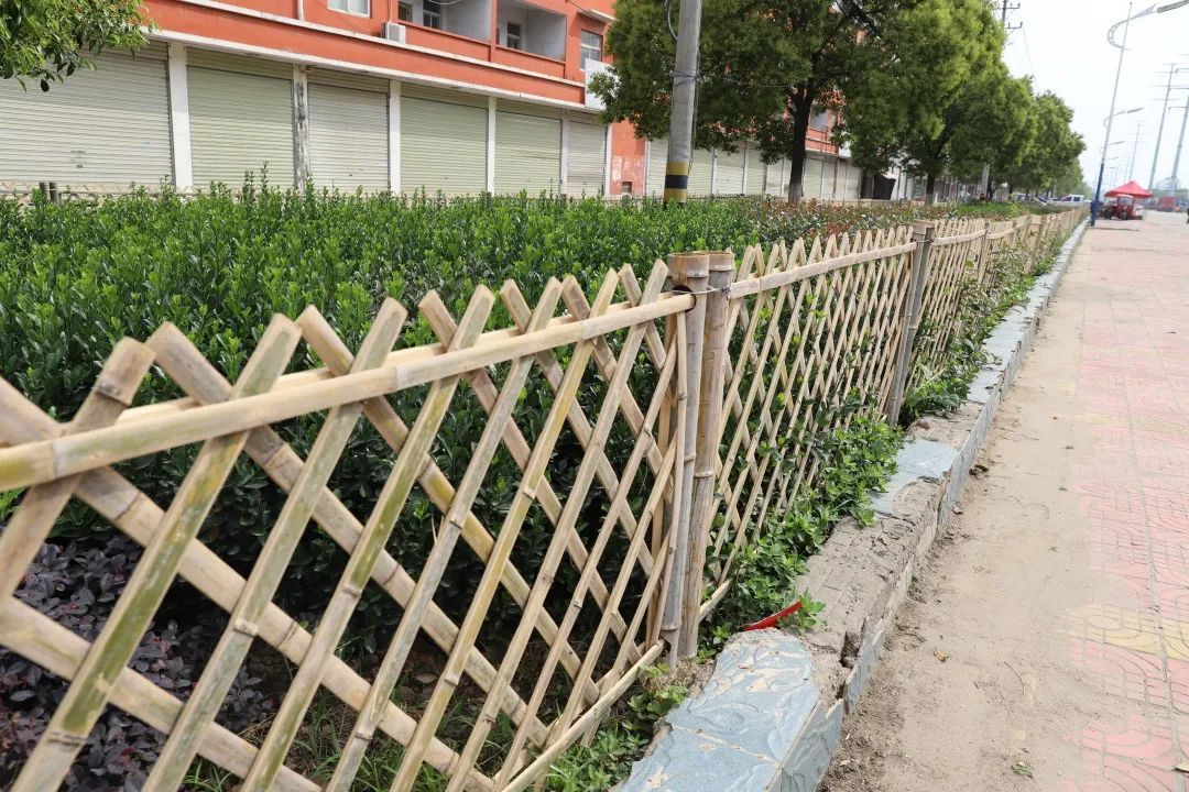 劳动最光荣丨曾都火狐电竞园林绿化工人忙(图5)
