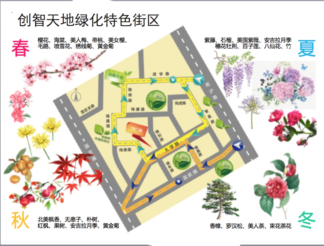 火狐电竞阿拉绿化市容人丨“一路一色、一园一品”——高国荣(图3)