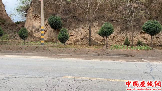 玄马镇：道路绿化焕新颜 路域提质见成效火狐电竞(图2)