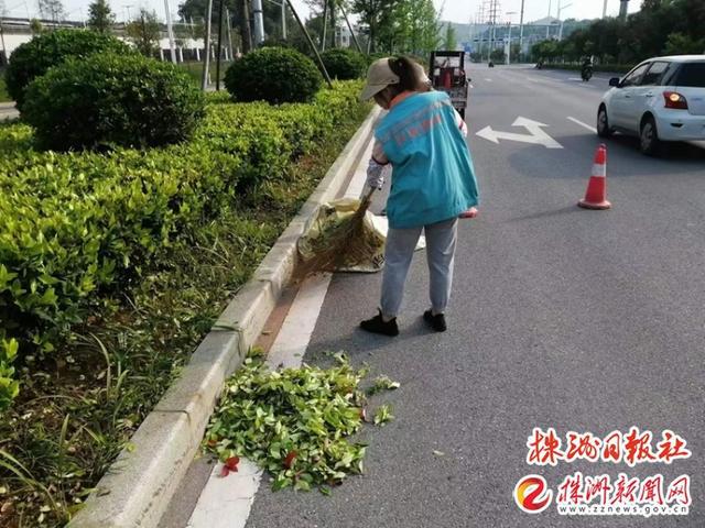 园林绿化提质“百日攻坚” 擦亮城市绿色名片火狐电竞(图2)