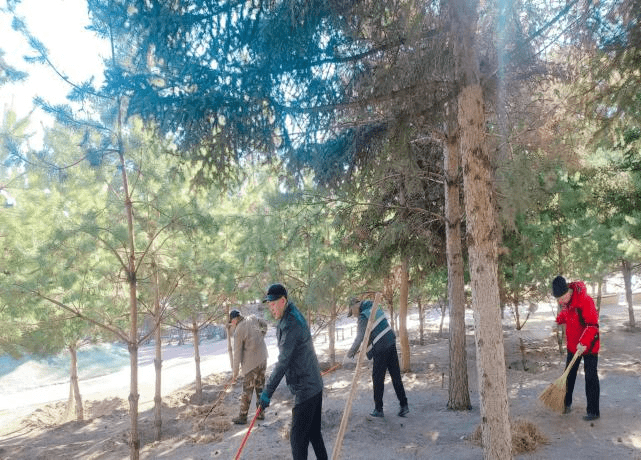 火狐电竞园林绿化服务中心：“五一”假期我在岗绿化提质“不打烊”(图1)