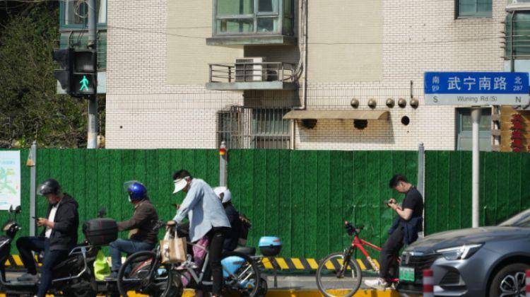 火狐电竞一起来探班！武宁南路沿线绿化恢复工程亮点→(图1)