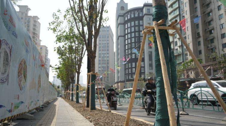 火狐电竞一起来探班！武宁南路沿线绿化恢复工程亮点→(图3)