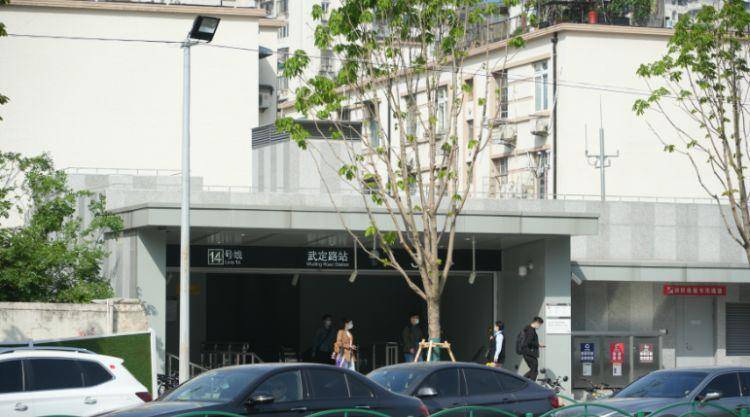 火狐电竞一起来探班！武宁南路沿线绿化恢复工程亮点→(图6)