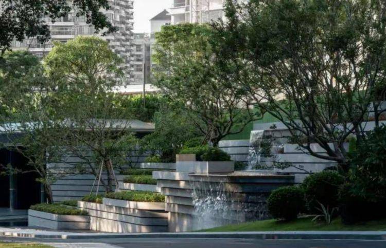 火狐电竞一起来探班！武宁南路沿线绿化恢复工程亮点→(图11)