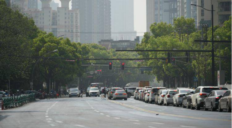 火狐电竞一起来探班！武宁南路沿线绿化恢复工程亮点→(图18)