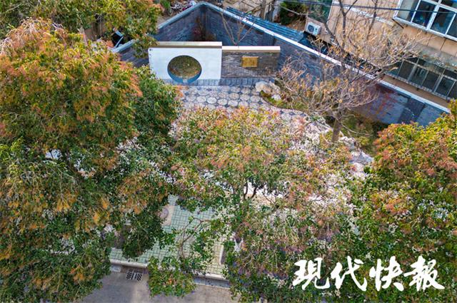 尽显方寸之美火狐电竞！“口袋公园”装满徐州百姓幸福感(图2)