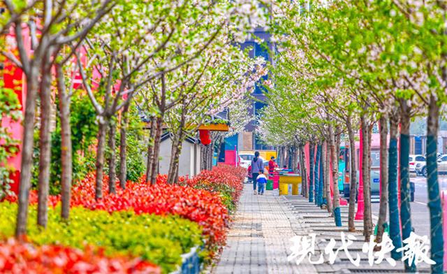 尽显方寸之美火狐电竞！“口袋公园”装满徐州百姓幸福感(图1)