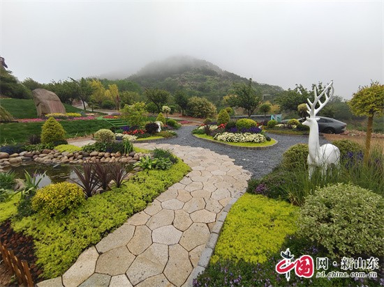 青岛市园林职业技能大比武崂山区4家企业获9个奖项火狐电竞(图1)