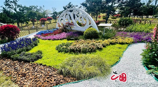 青岛市园林职业技能大比武崂山区4家企业获9个奖项火狐电竞(图2)