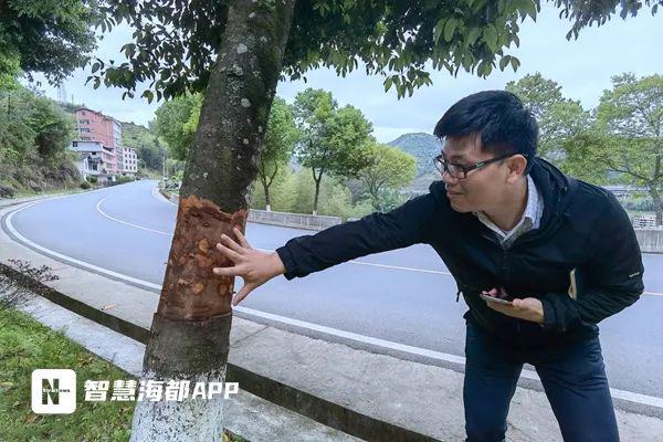 下手太狠！泉州路边火狐电竞这一幕让人愤怒！(图1)
