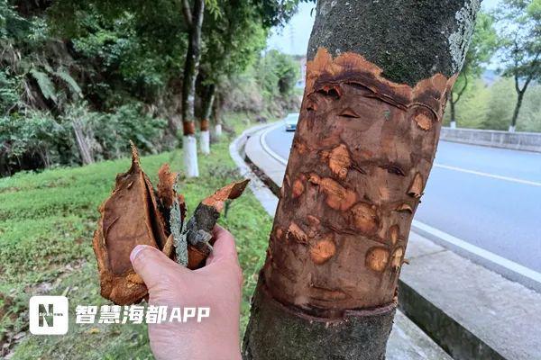 下手太狠！泉州路边火狐电竞这一幕让人愤怒！(图2)
