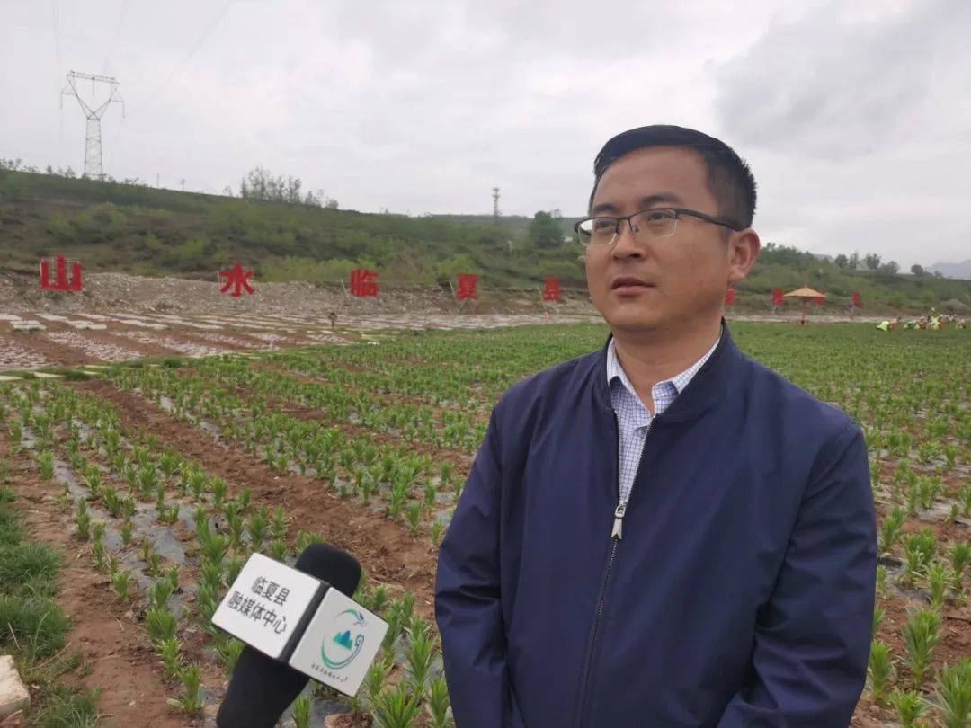 临夏县：不负好时光 火狐电竞绿化养护忙(图4)