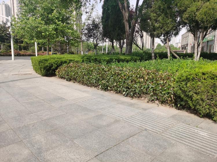临沂市城管局园林环卫中心柳青火狐电竞管理办：节点补植改造绿化美化再提升(图2)