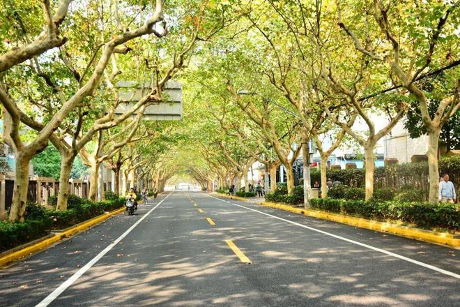 火狐电竞园林景观道路如何设计？(图2)