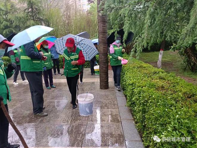 火狐电竞园林绿化整治不停步 城市景观形象再提升(图1)