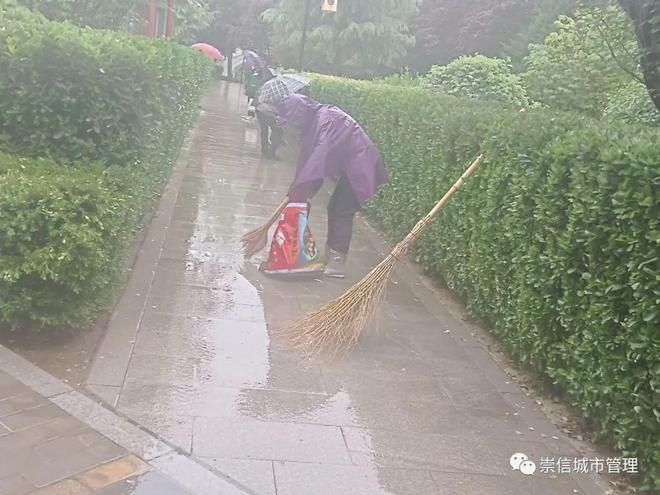 火狐电竞园林绿化整治不停步 城市景观形象再提升(图3)