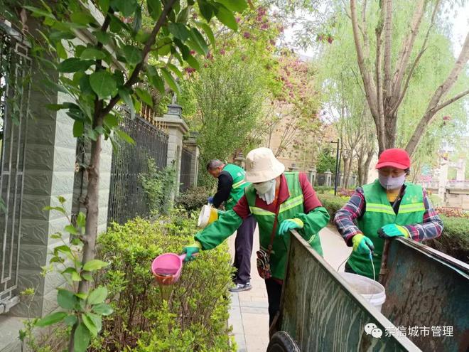 火狐电竞园林绿化整治不停步 城市景观形象再提升(图2)