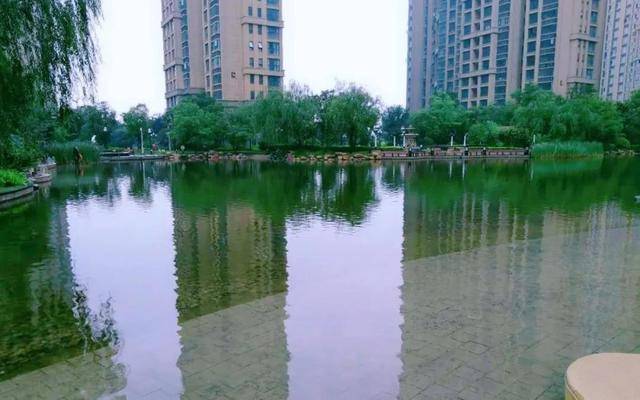火狐电竞河北绿化智能网——绿化环境改善生态。(图5)