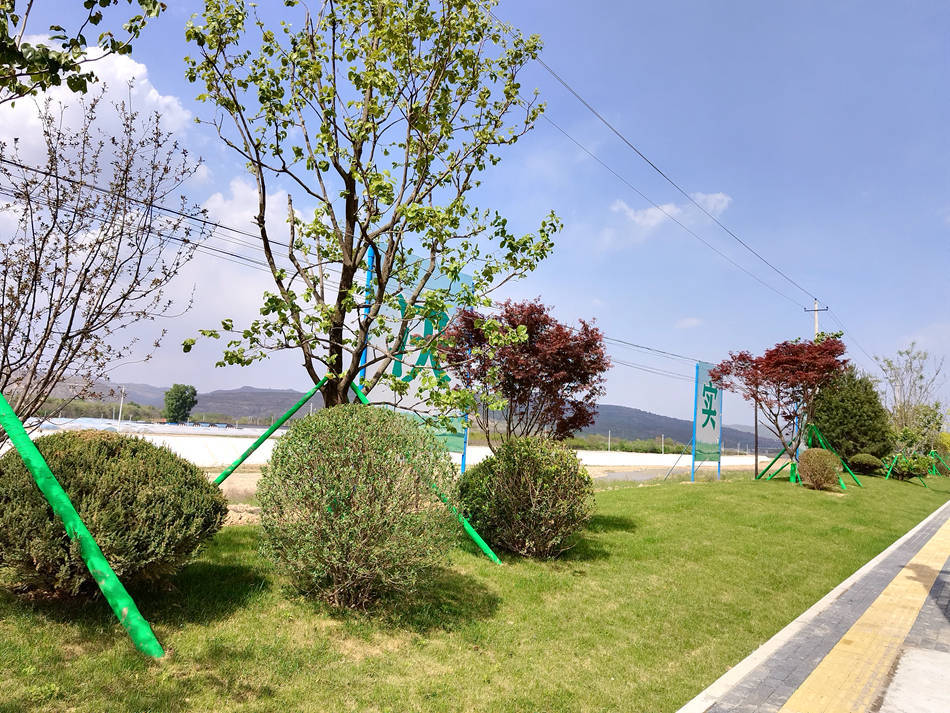 清水：城区绿化提档升级 打造精致公园城市火狐电竞(图2)