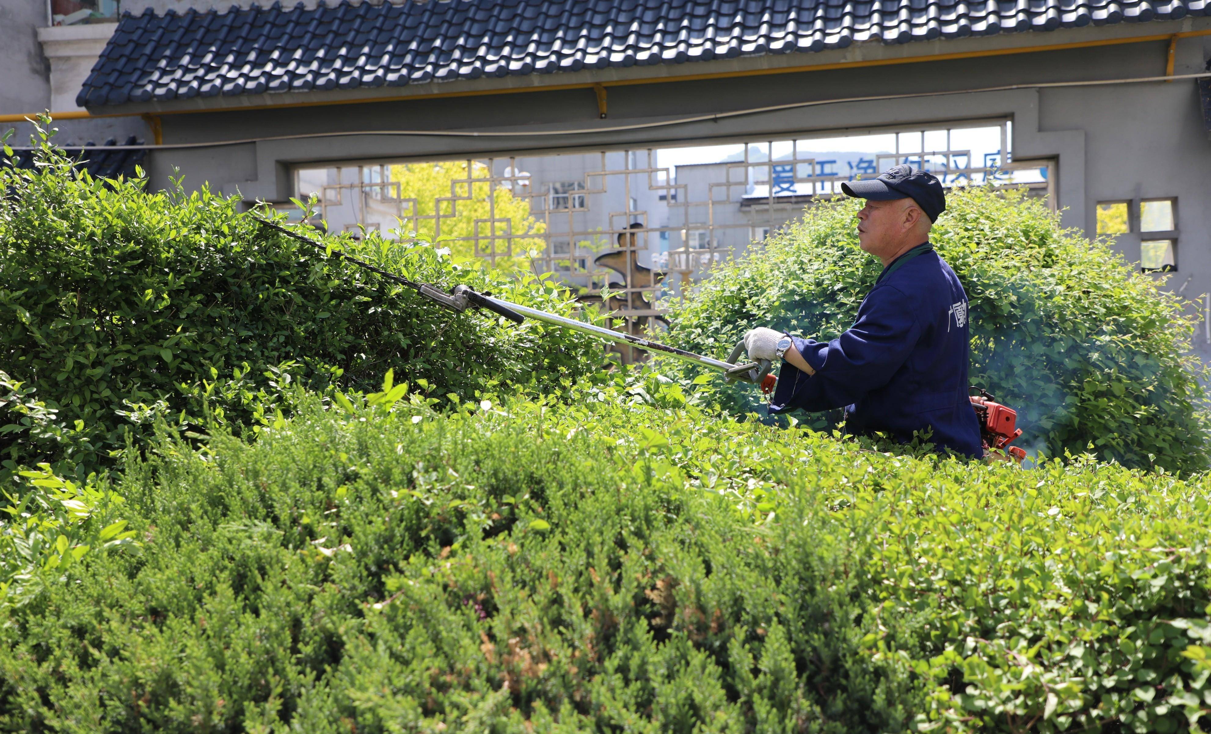 火狐电竞集安市开展居民小区绿化整治提升城市人居生活质量(图4)