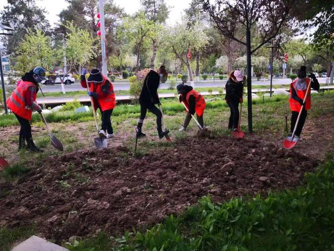 提升园林绿化环境 助力创建国家火狐电竞生态园林城市(图1)