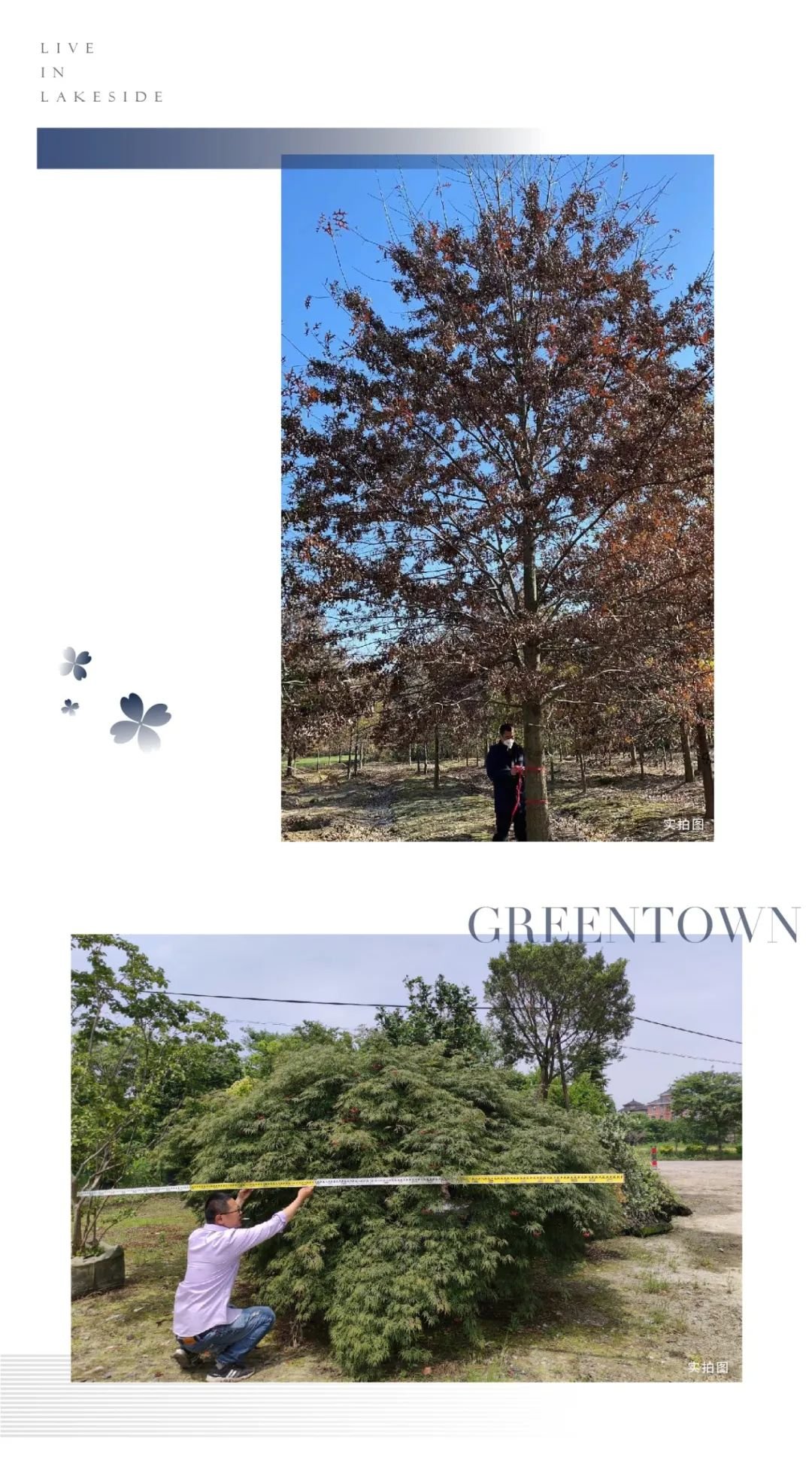 凤栖考工记 匠心造园更懂生活的美学园林火狐电竞(图2)