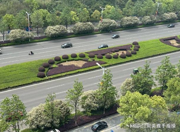 火狐电竞石楠花“遗臭”热搜为啥非得用它当绿化植物？很多人都不知道(图7)